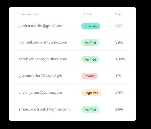 Email Verification window in Elastic Email's UI